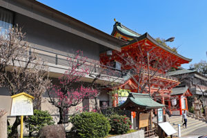 生田神社・箙の梅