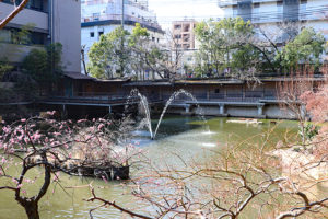 生田神社境内・生田の池