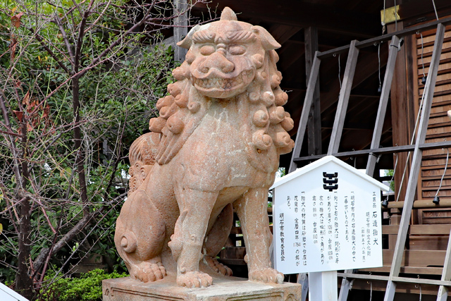 柿本神社・拝殿前の狛犬