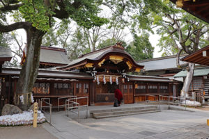 護王神社・中門と本殿