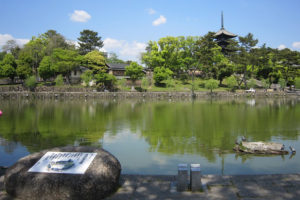 猿沢池から興福寺を望む