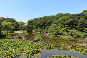 慶沢園の大池