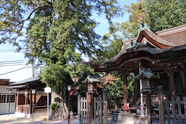 長野神社・本殿と恵比須社