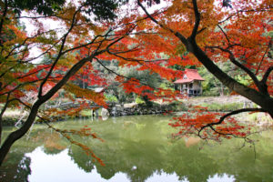 龍泉寺庭園・池と中島